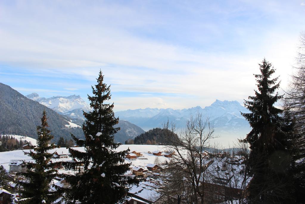 Les Frenes Apartment Leysin Luaran gambar