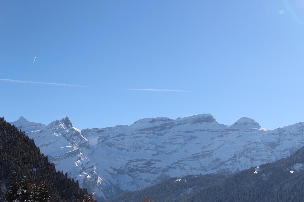 Les Frenes Apartment Leysin Luaran gambar