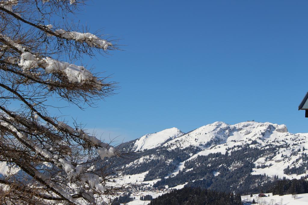 Les Frenes Apartment Leysin Luaran gambar
