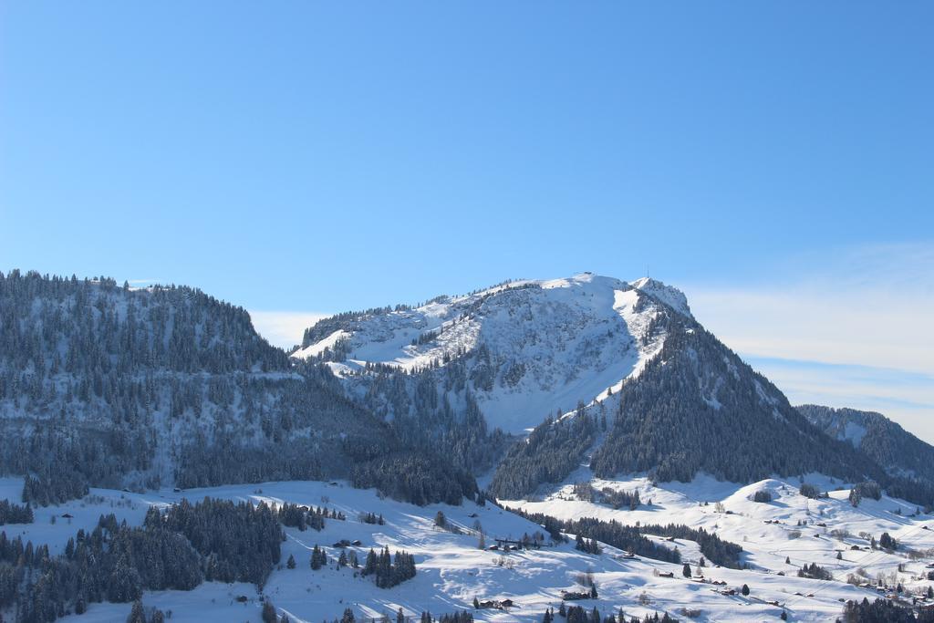 Les Frenes Apartment Leysin Luaran gambar
